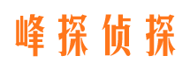 东港市调查公司